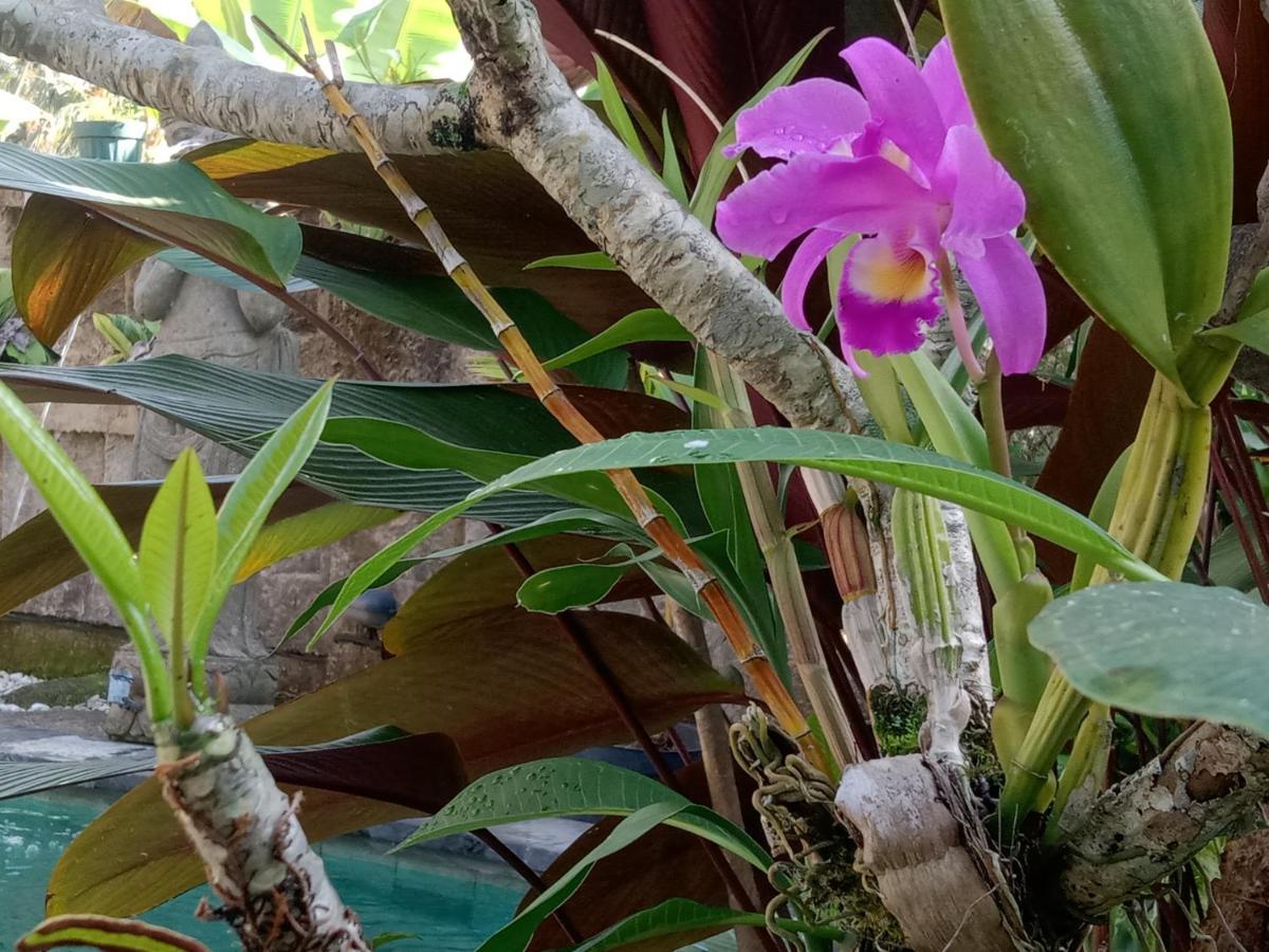 Ananda Jj Ubud Resort & Spa エクステリア 写真